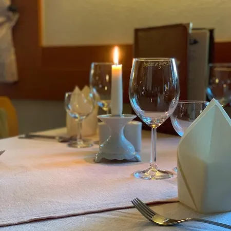 Showhotel Seerose 3*